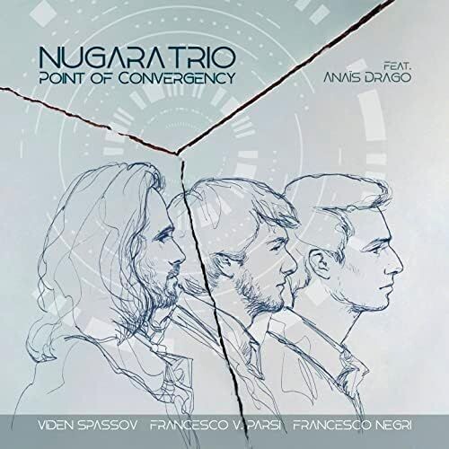 NUGARA TRIO - Point Of Convergency