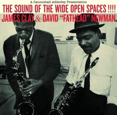 JAMES CLAY & DAVID "FATHEAD" NEWMAN (LP) - The Sound Of The Wide Open Spaces