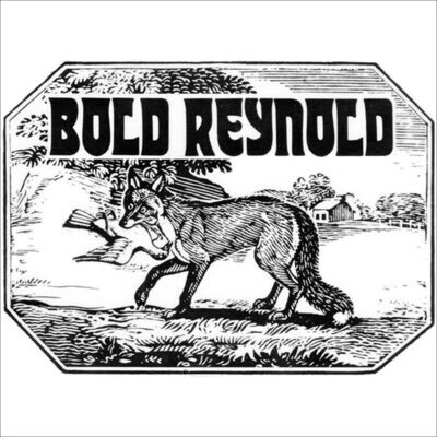 DAVID CARROLL & FRIENDS - Bold Reynold