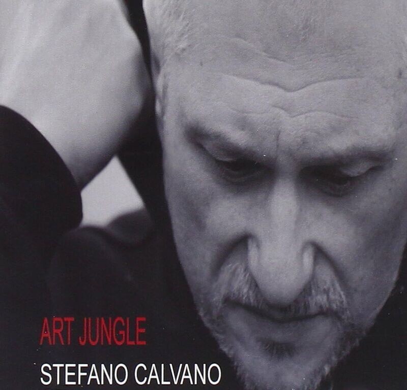STEFANO CALVANO - Art Jungle