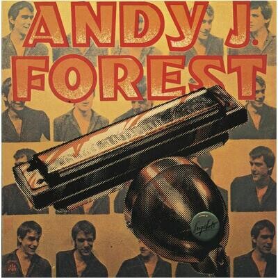 Andy J. Forest - The Snapshots