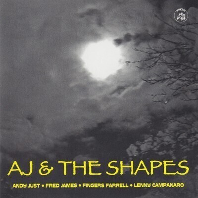 Andy Just & The Shapes - Same
