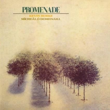 KEVIN BURKE & MICHEAL DOMHNAILL - Promenade