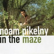 NOAM PIKELNY - In The Maze