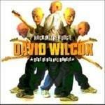 David K Wilcox-Rockin' The Boogie