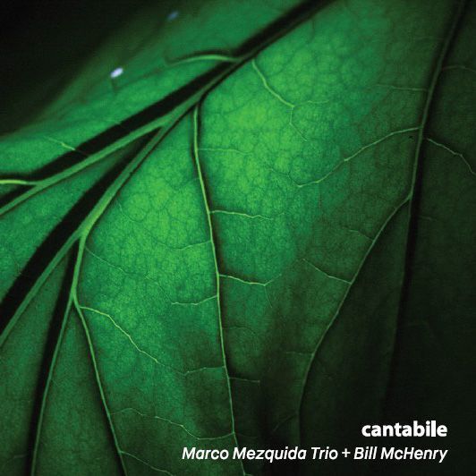 MARCO MEZQUIDA TRIO / BILL MCHENRY - Cantabile