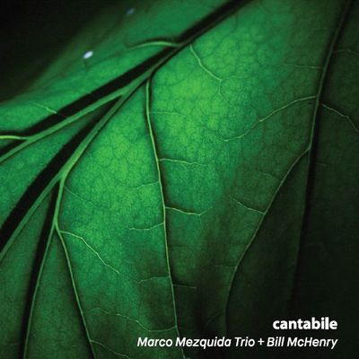 MARCO MEZQUIDA TRIO / BILL MCHENRY - Cantabile