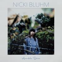NICKI BLUHM (LP Blu) - Avondale Drive