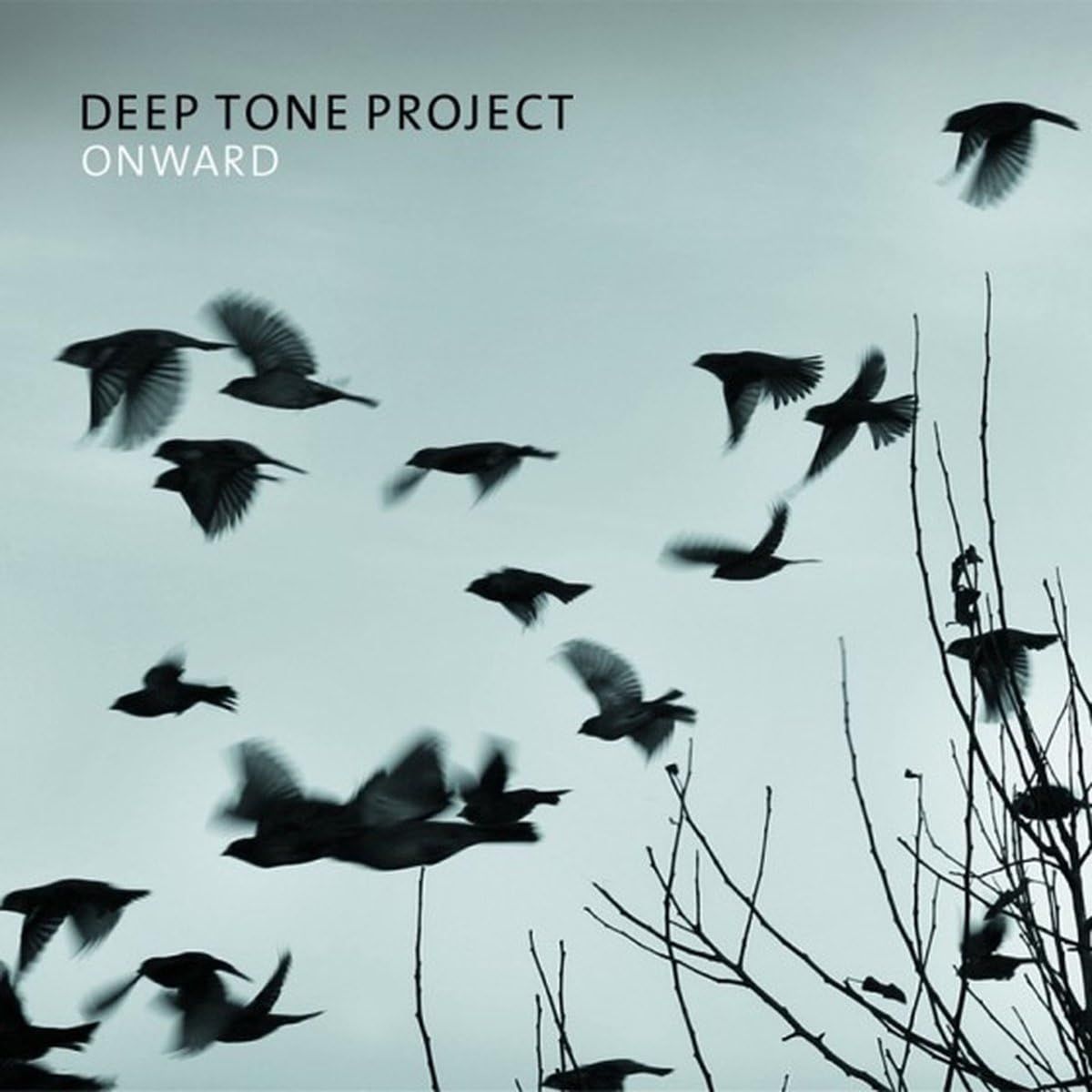 DEEP TONE PROJECT - Onward
