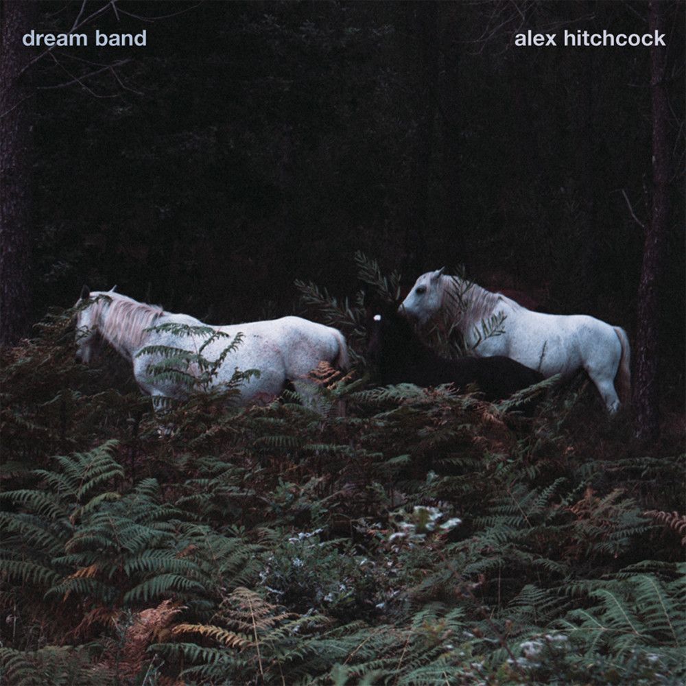 ALEX HITCHCOCK - Dream Band