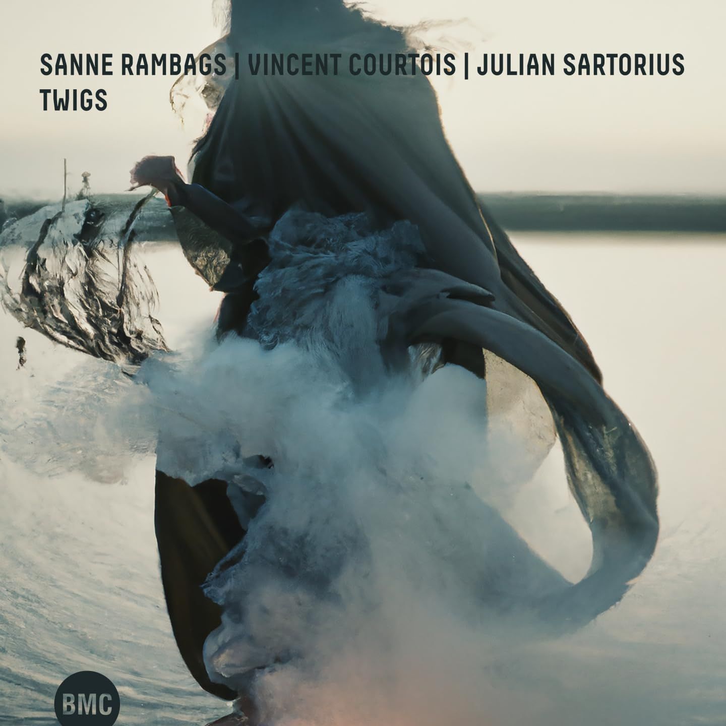 SANNE RAMBAGS/VINCENT COURTOIS/JULIAN SARTORIUS - Twigs