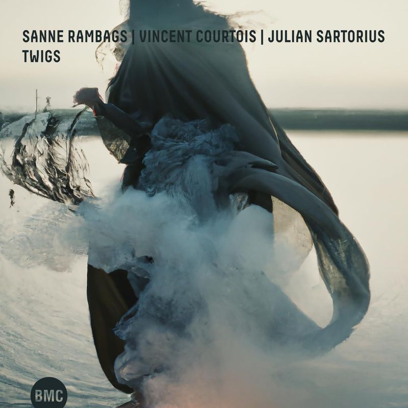 SANNE RAMBAGS/VINCENT COURTOIS/JULIAN SARTORIUS - Twigs