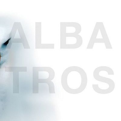 NORBERT DALSASS & E-VOLUTION (LP) - Albatros
