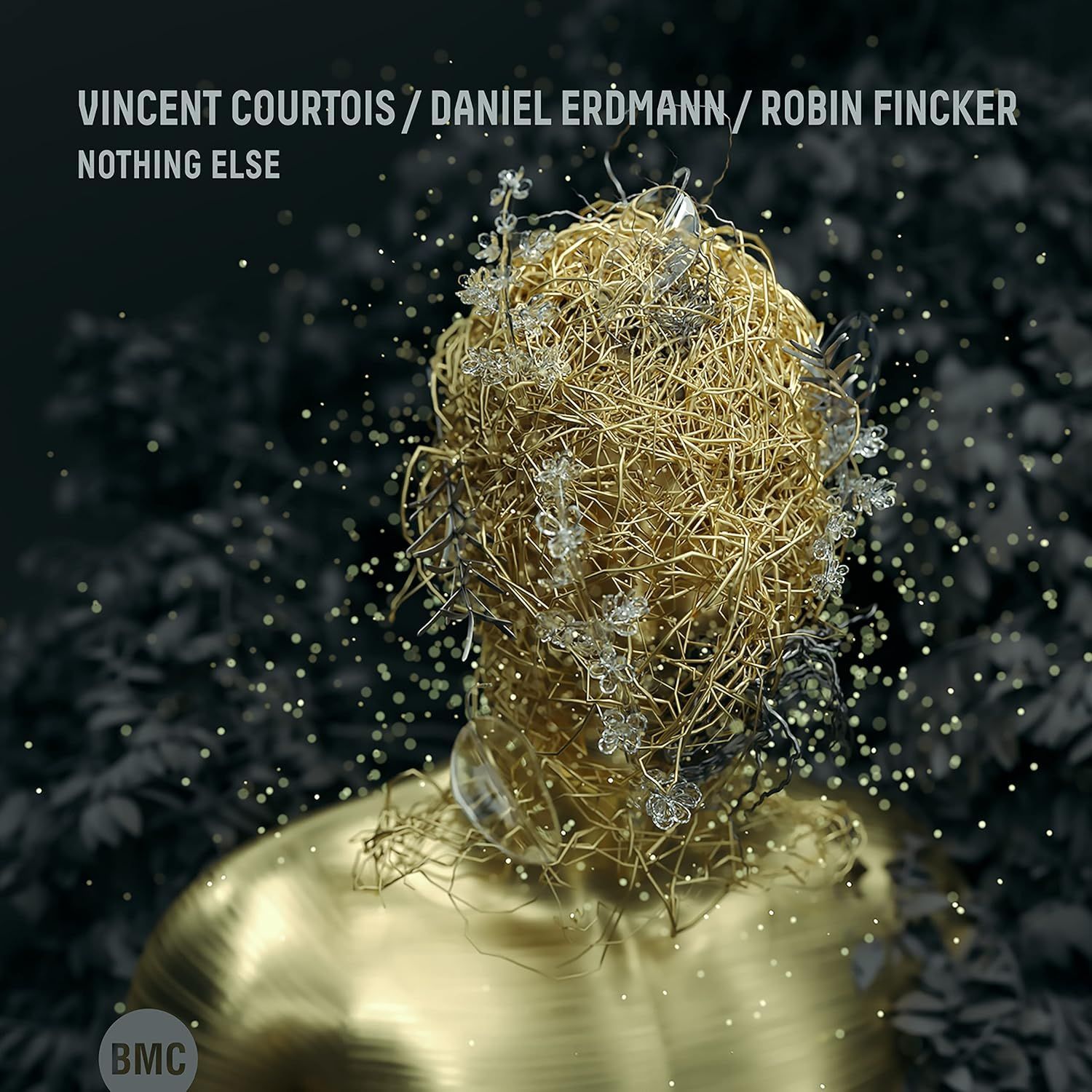 VINCENT COURTOIS/DANIEL ERDMAN/ROBIN FINCKER - Nothing Else