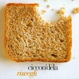 CICCON'DELA - Risvegli