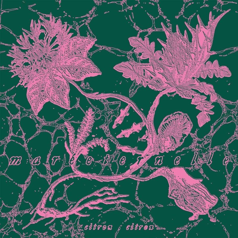 CITRON CITRON - Mareeternelle