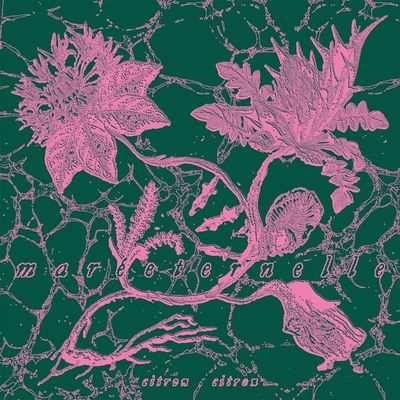 CITRON CITRON - Mareeternelle CITRON CITRON - Mareeternelle