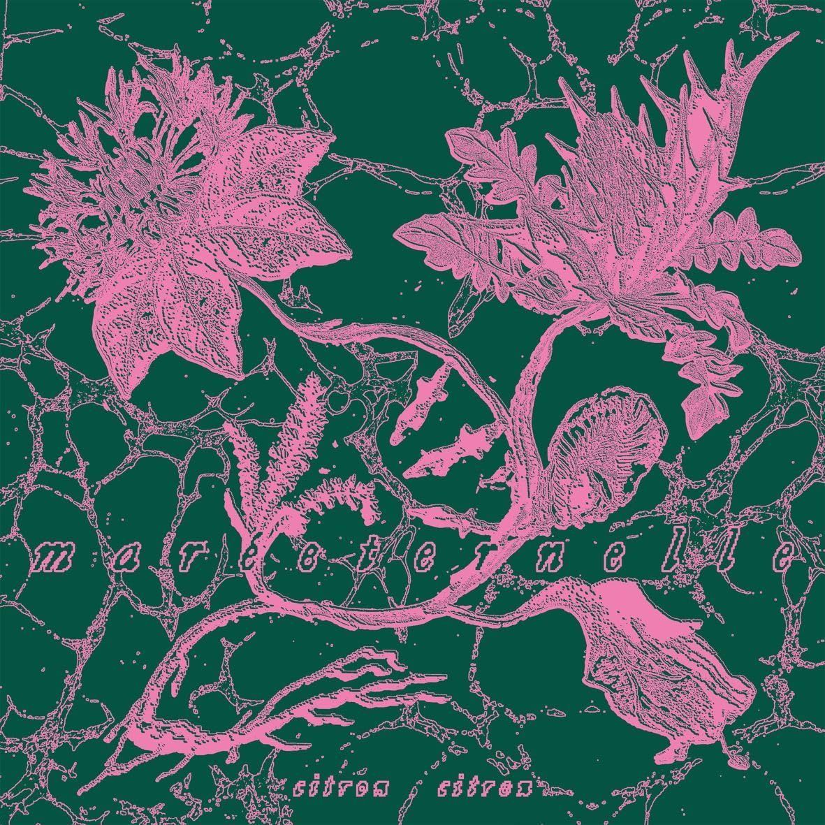 CITRON CITRON (LP) - Mareeternelle