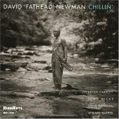 DAVID 'FATHEAD' NEWMANN - Chillin'