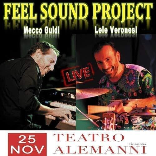MECCO GUIDI & LELE VERONESI FEEL SOUND PROJECT - Teatro Alemanni 25 Novembre 2016 (BO)