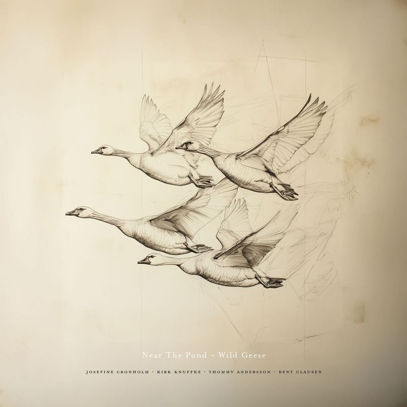 NEAR THE POND - Wild Geese