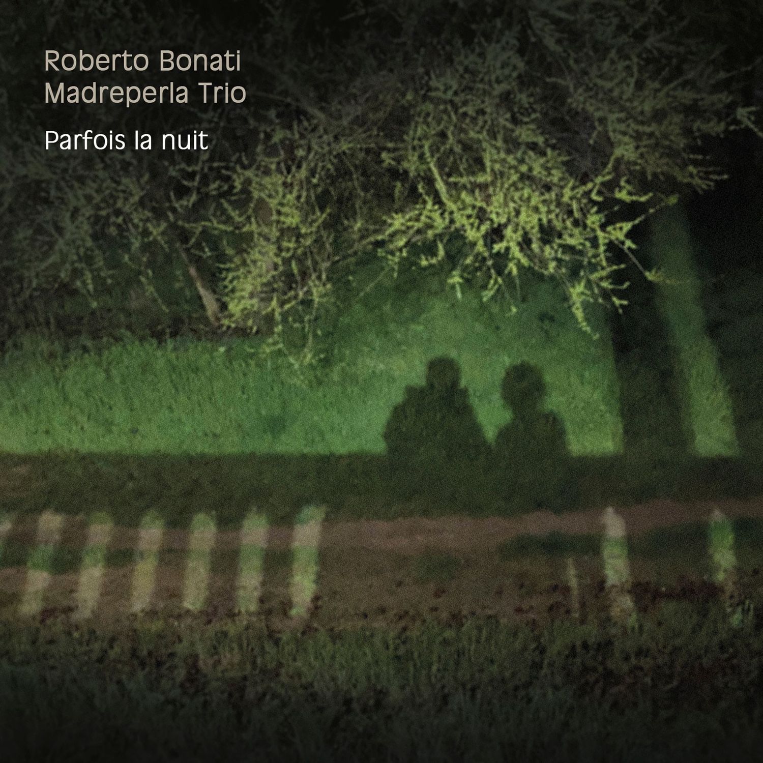 ROBERTO BONATI MADREPERLA TRIO - Parfois la nuit