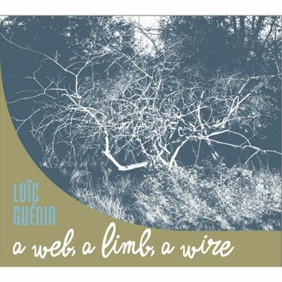 LOÏC GUÉNIN – A Web, a Limb, a Wire