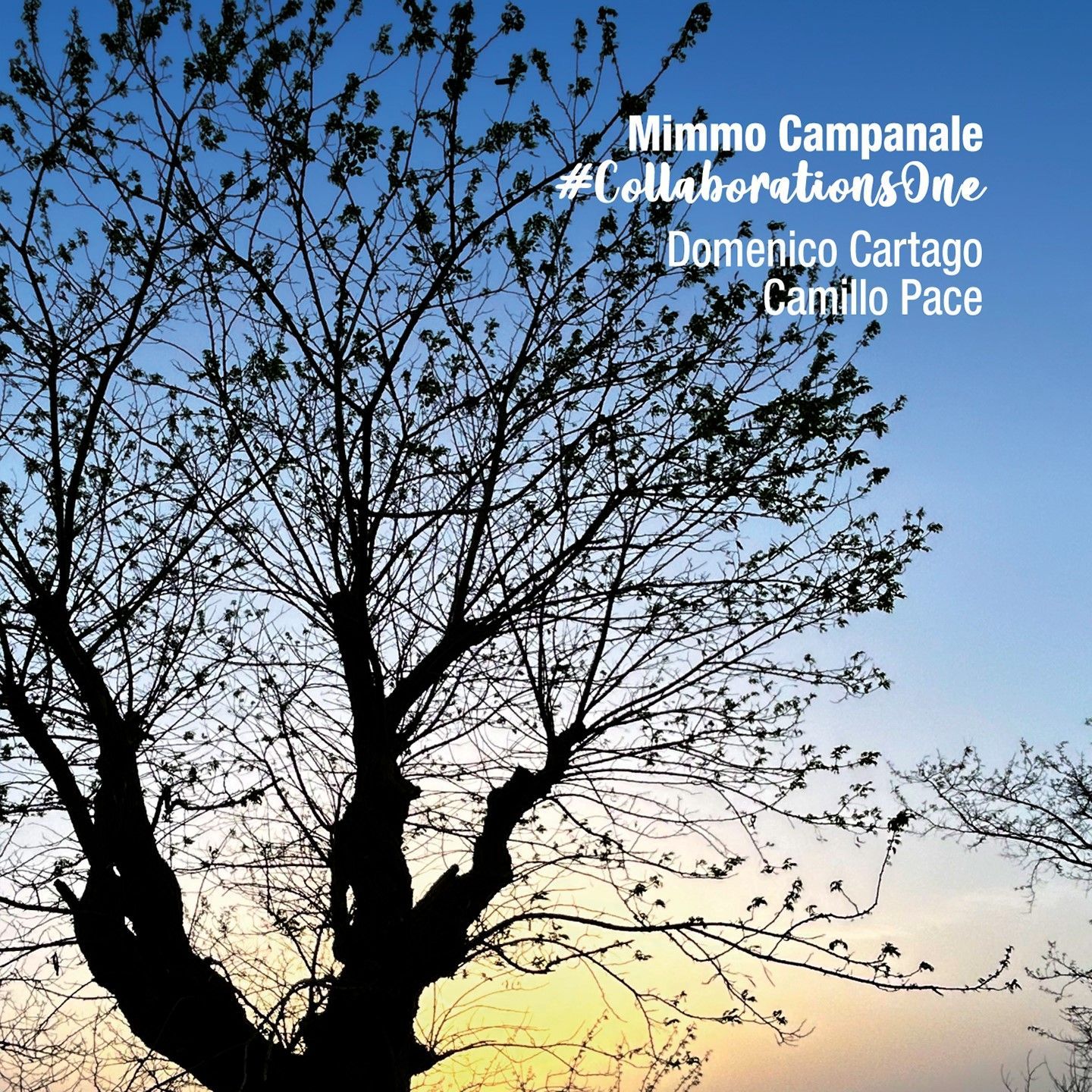MIMMO CAMPANALE TRIO - CollaborationsOne