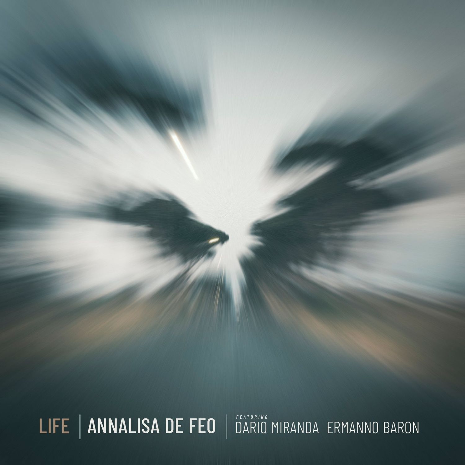 ANNALISA DE FEO feat. DARIO MIRANDA ED ERMANNO BARON – LIFE