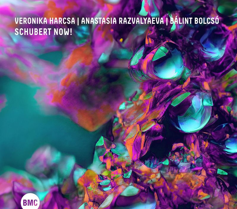 VERONIKA HARCSA | ANASTASIA RAZVALYAEVA | BÁLINT BOLCSÓ – Schubert NOW!