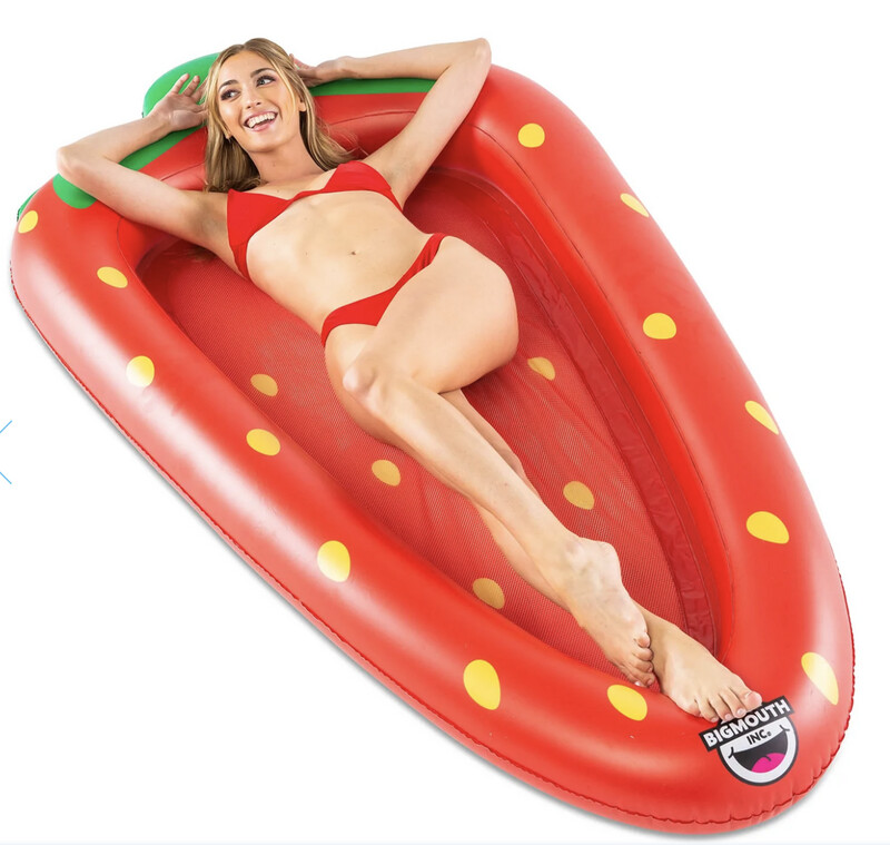 Big Mouth | Strawberry Mesh Hammock Float
