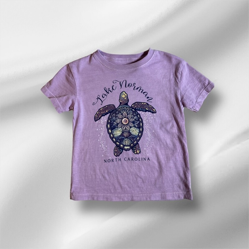 Lake Norman Kids | Bubbling Sea Turtle Toddler Dyed Ringspun Tee - Wister