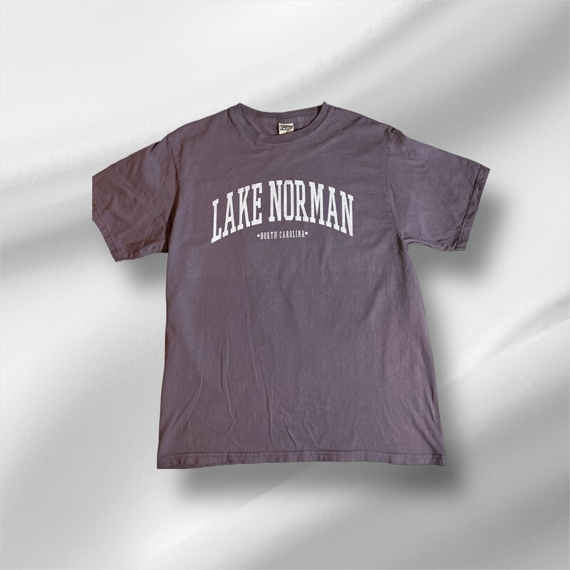 Lake Norman Shirts | Ivy Seen This B4 Distressed Tee - Amethyst