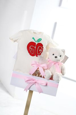 Gucci baby basket
