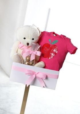 Gucci baby basket
