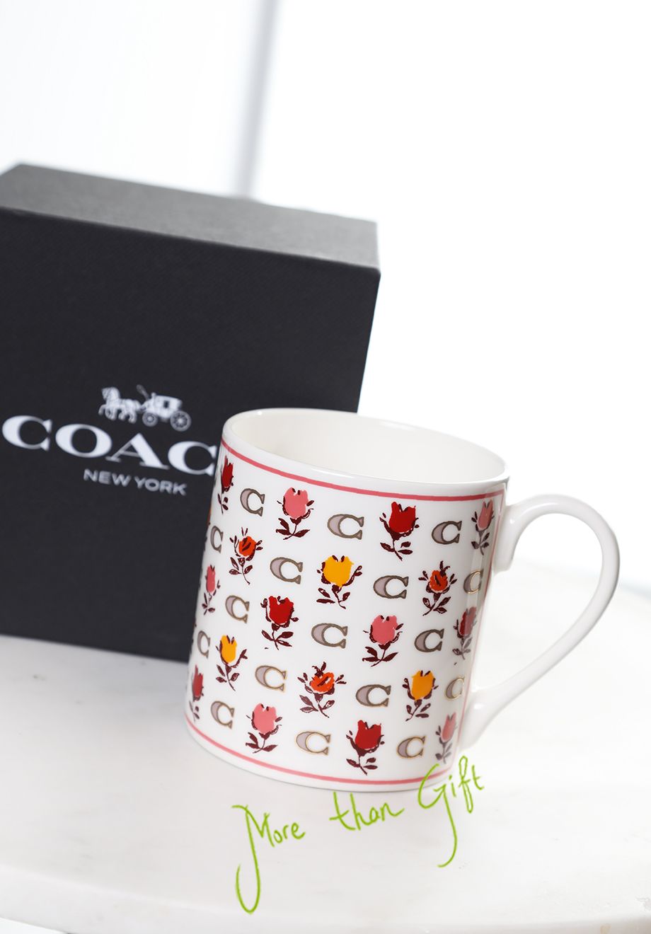Coach mug