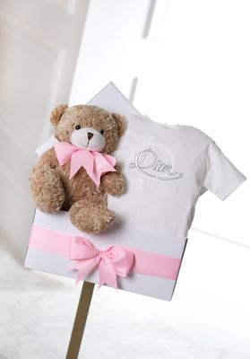 Dior baby basket