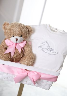 Dior baby basket