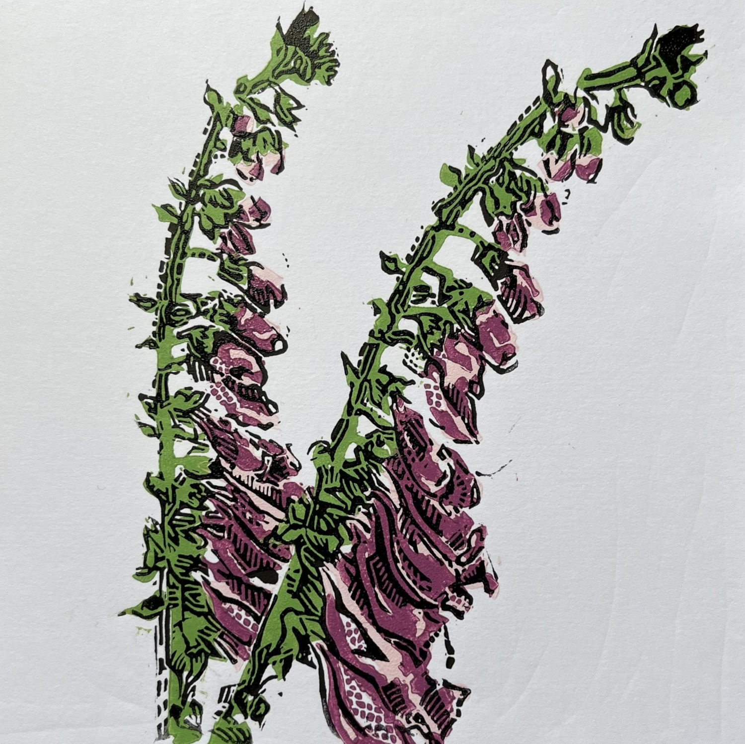 Handprinted lino Foxglove card