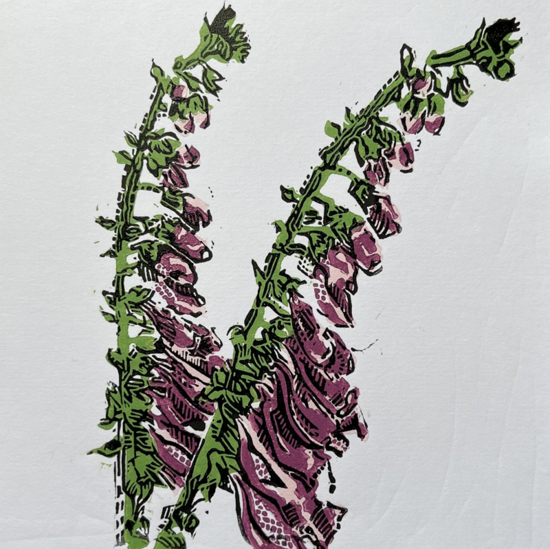 Handprinted lino Foxglove card