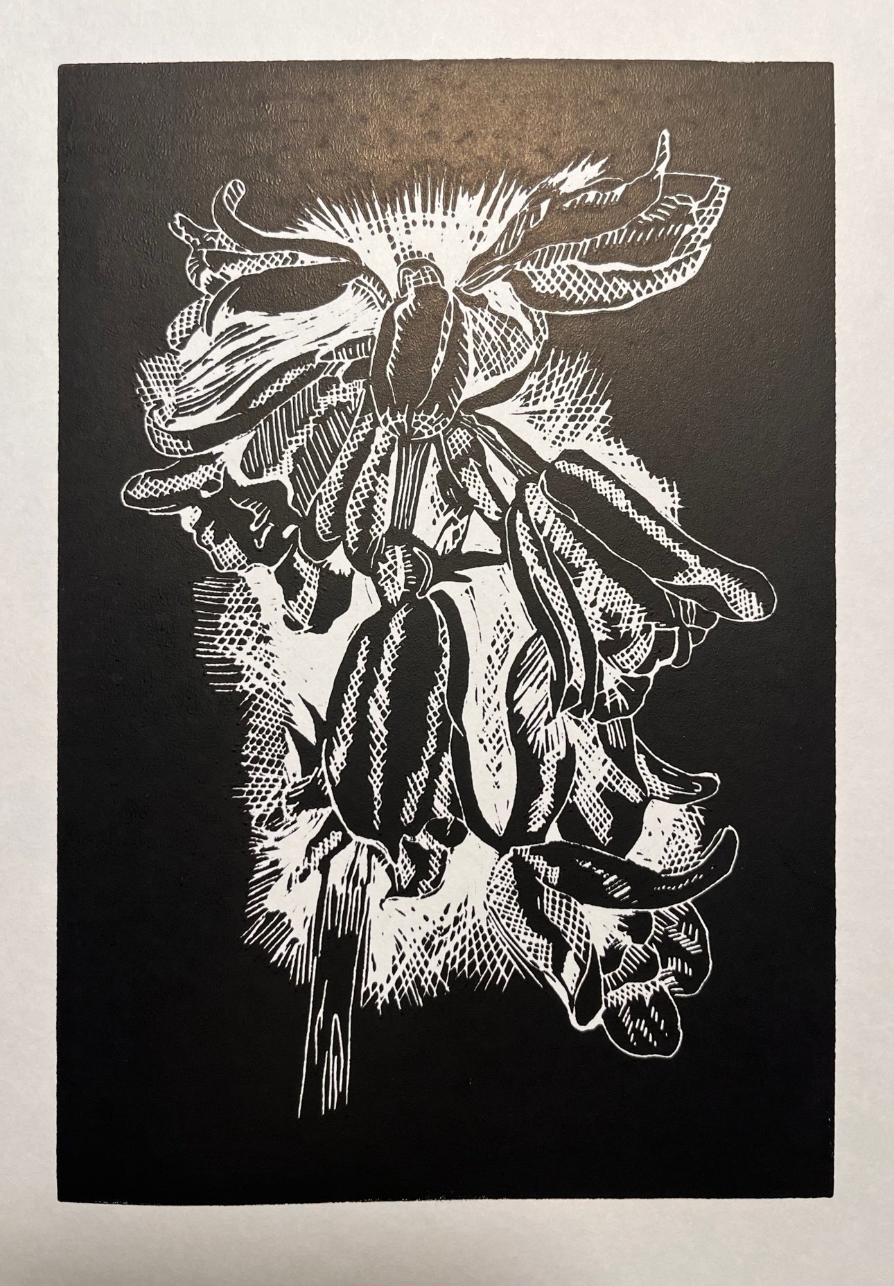 Bluebell Print (framed)