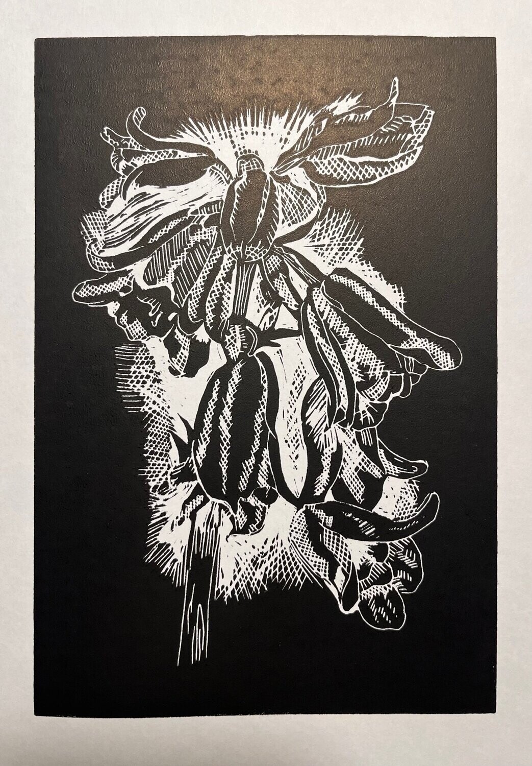 Bluebell Print (unframed)