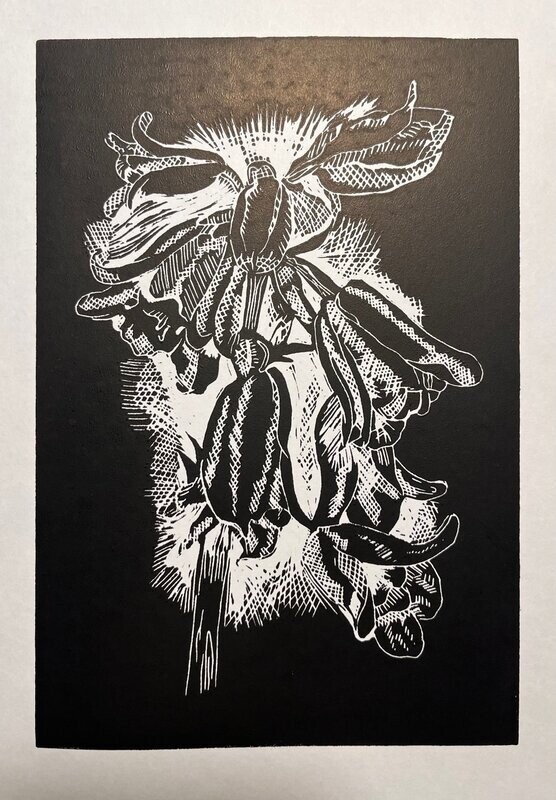 Bluebell Print (unframed)