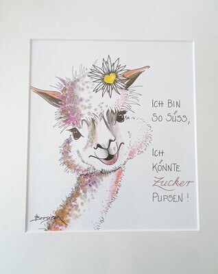 Passepartout-Bilder