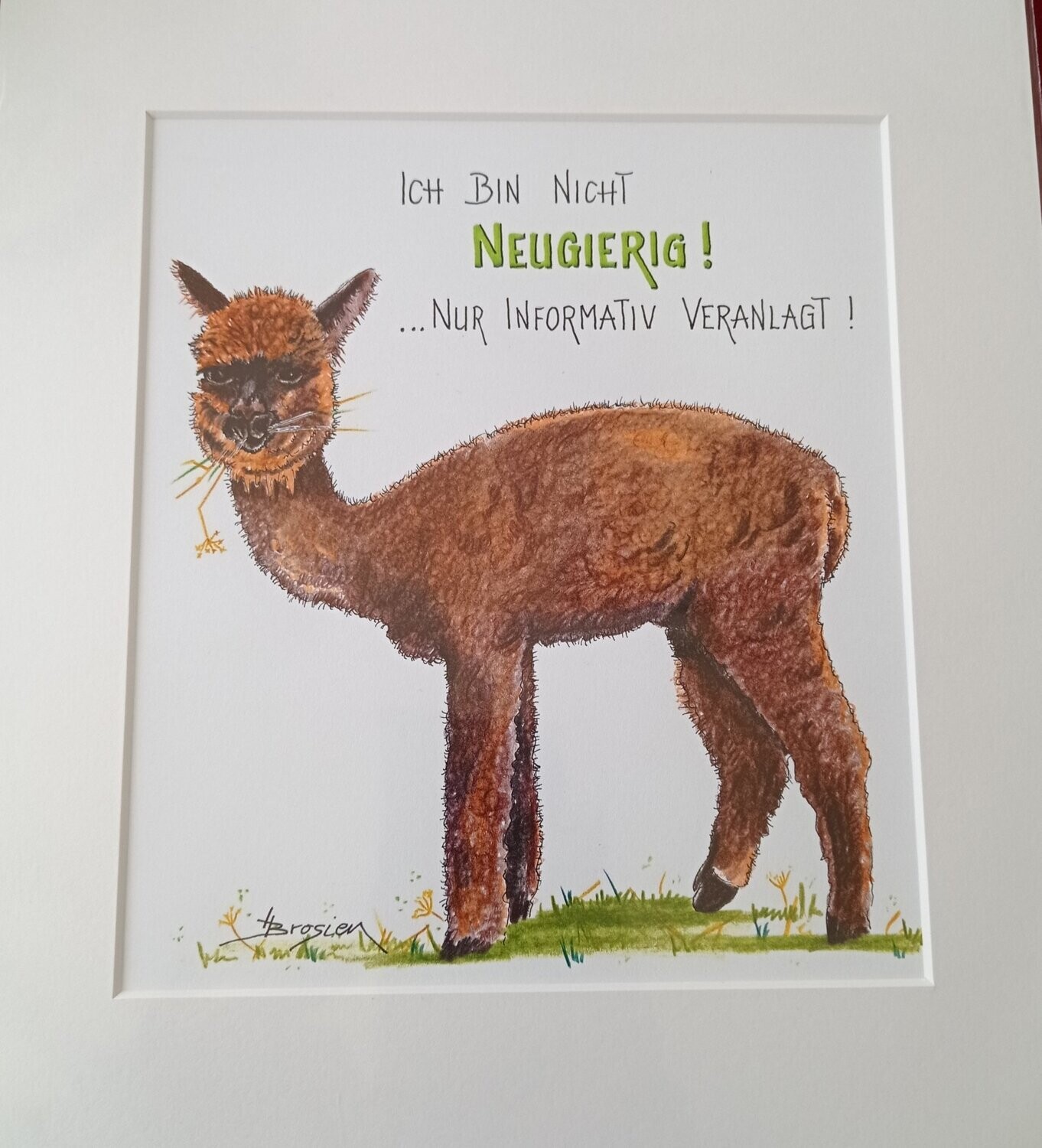 Passepartout- Bild " Ich bin nicht Neugierig!"