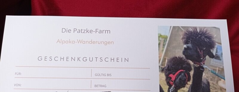 Gutschein für eine Alpaka Wanderung Gutschein für eine Alpaka Wanderung