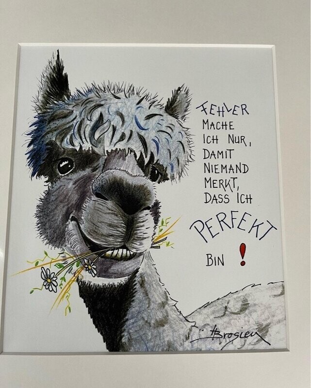 Passepartout- Bild Passepartout- Bild " Fehler mache ich nur..."