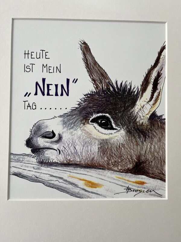 Passepartout- Bild Passepartout- Bild " Heute ist mein NEIN Tag "