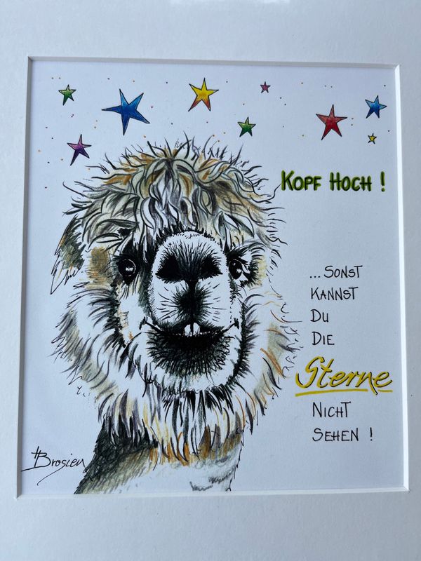 Passepartout - Bild Passepartout - Bild " Kopf Hoch!..."