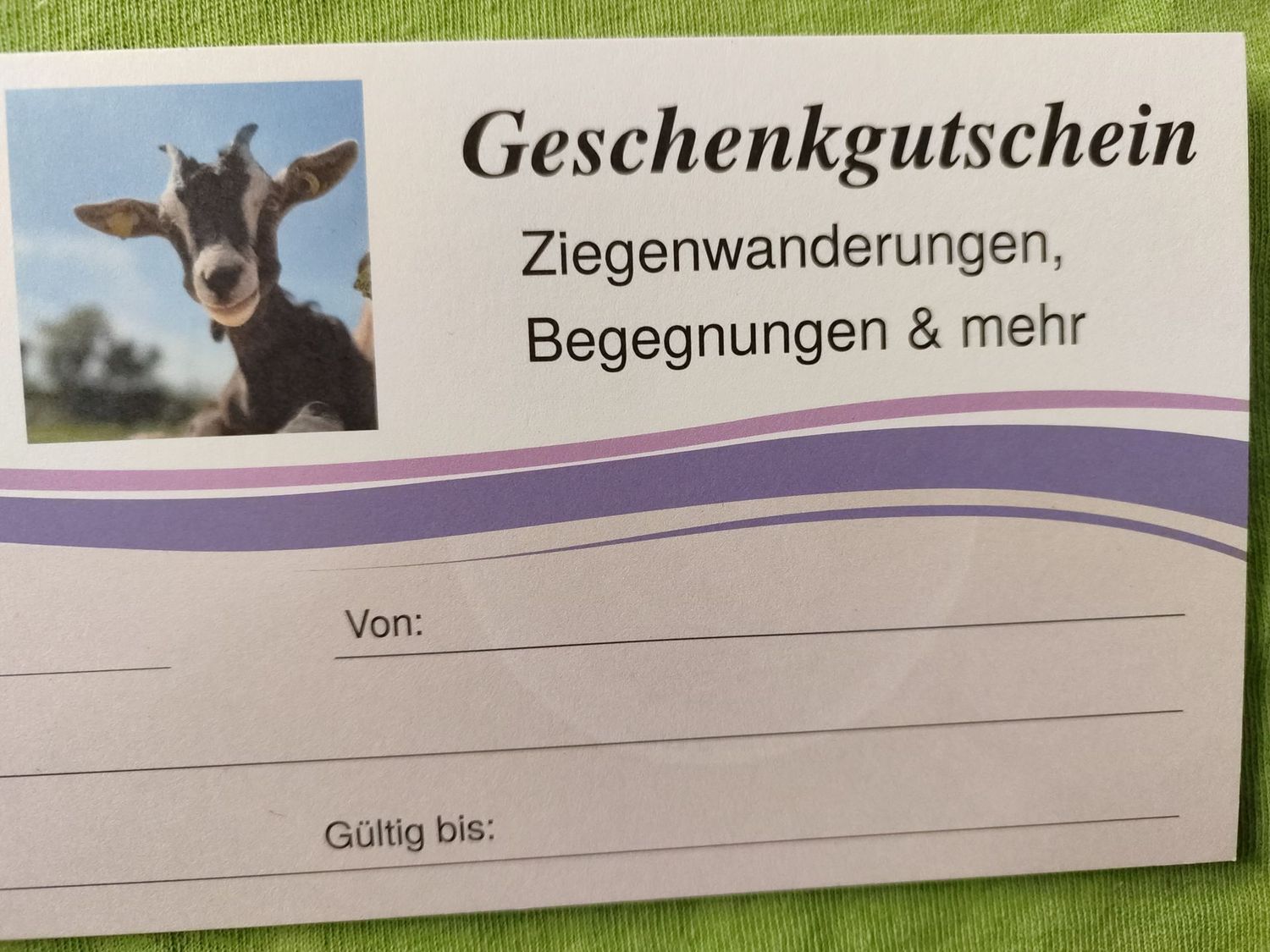 Gutschein für eine Ziegenwanderung oder Begegnung